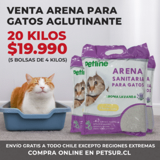 Arena para Gatos Petline ENVIO GRATIS Regiones